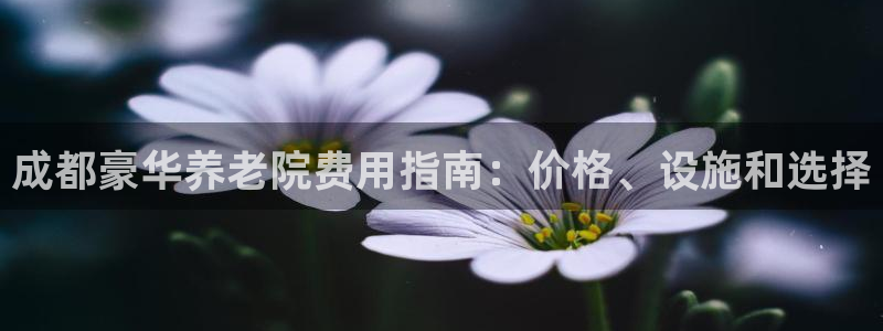 韦德1946客户端