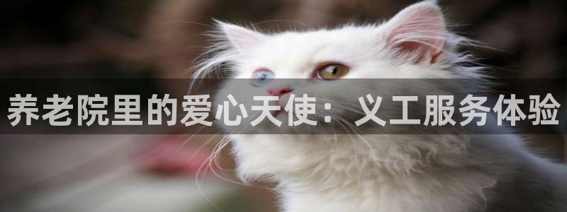 韦德1946体育