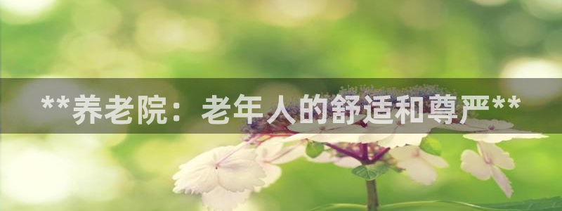 韦德 网址
