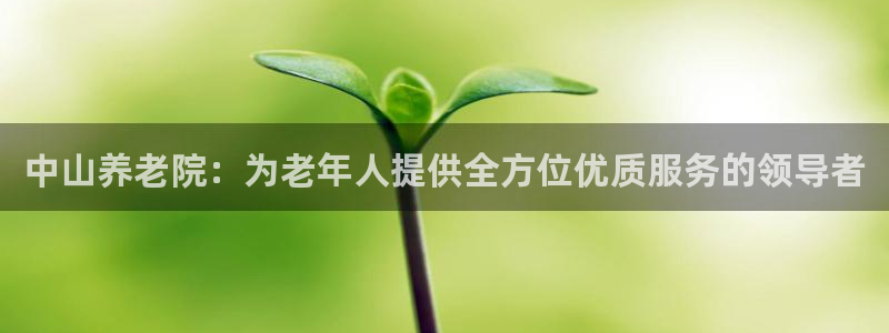 韦德1946下载