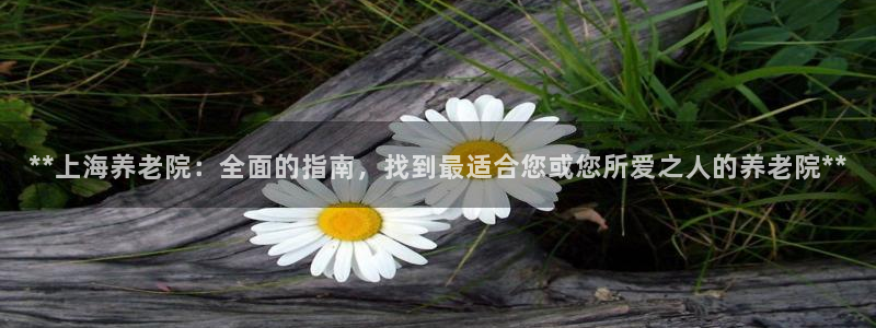 韦德的游戏