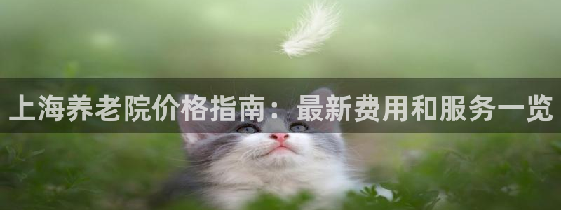 韦德1946官网