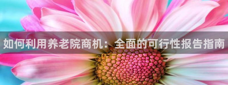 韦德事件