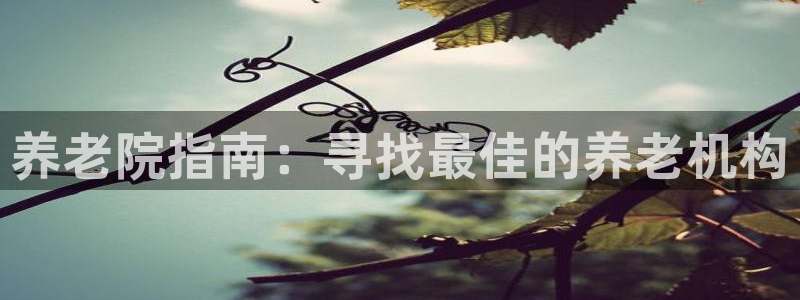 韦德观战总决赛G3