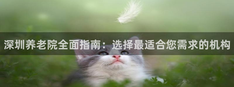 韦德是哪个