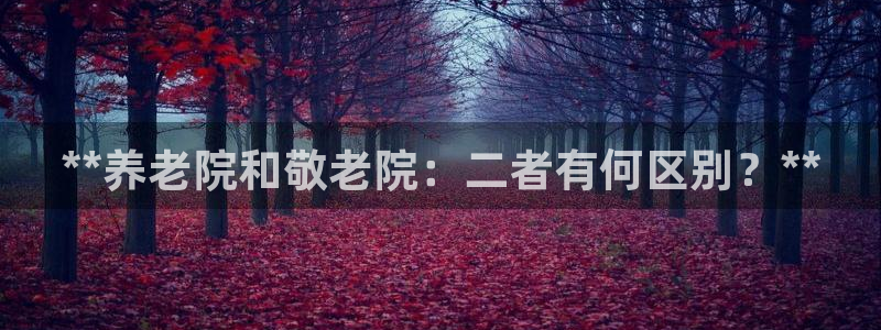 韦德新品