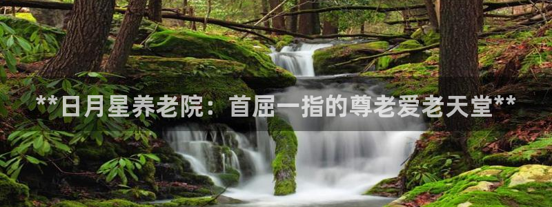 韦德1946官网