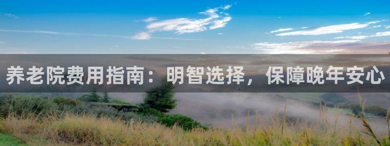 韦德网址是多少