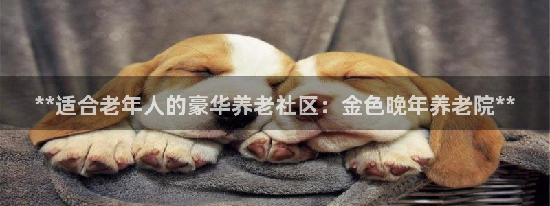 1946 韦德