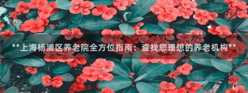 韦德1946bet