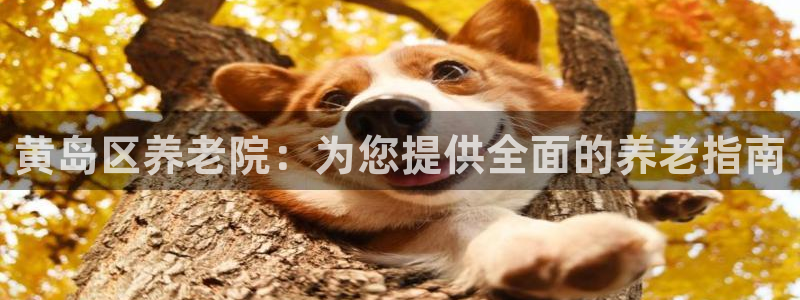 韦德1946手机网址