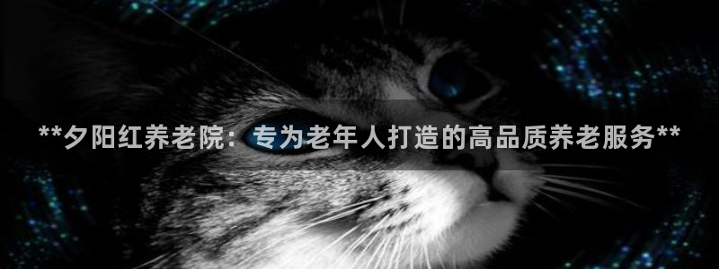 韦德1567