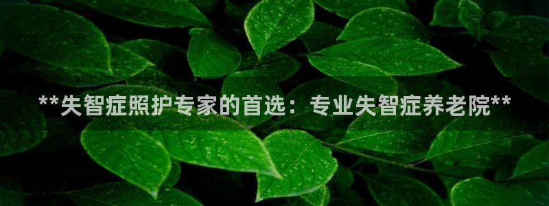韦德1946国际
