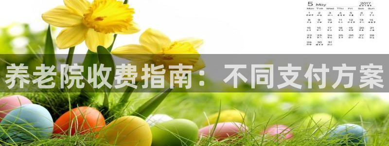 韦德观战总决赛G3