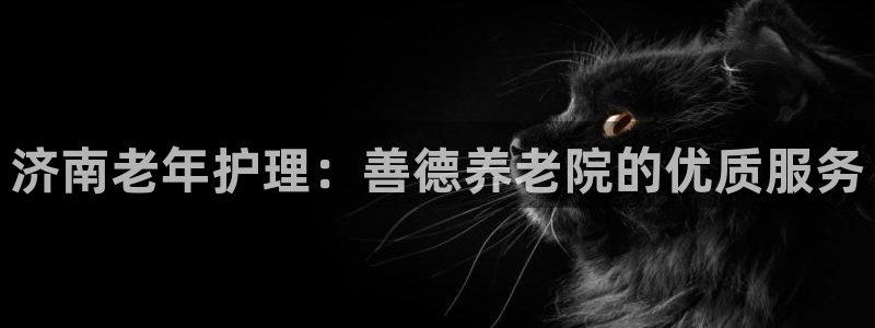 韦德1946中文官网