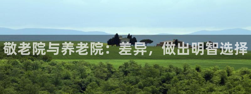韦德2014