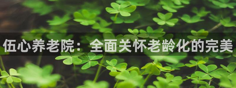 韦德1946体育