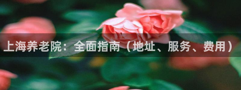 韦德com