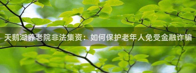 韦德合集