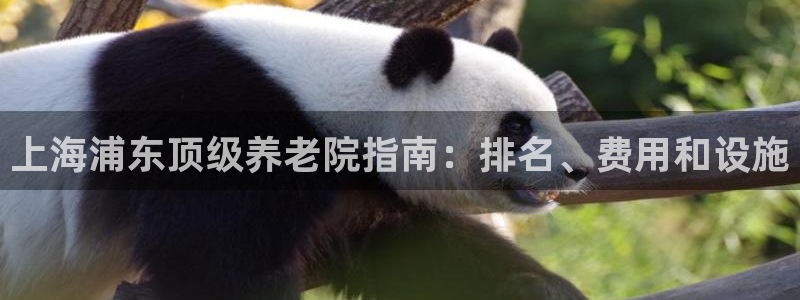 韦德观战总决赛G3