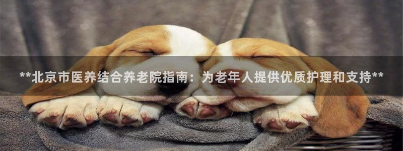 韦德网址