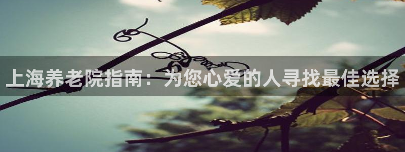 韦德1946中文官网