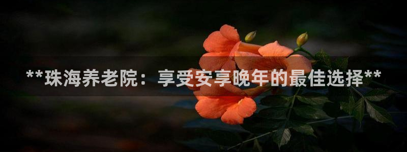 韦德2016