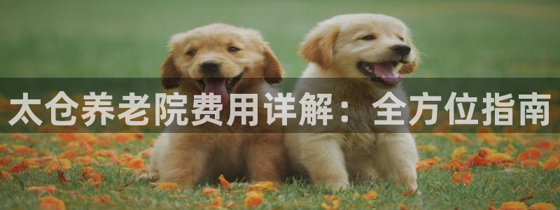 1946韦德游戏