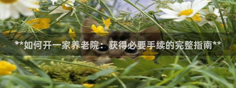 韦德事件