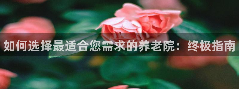 韦德1946bet