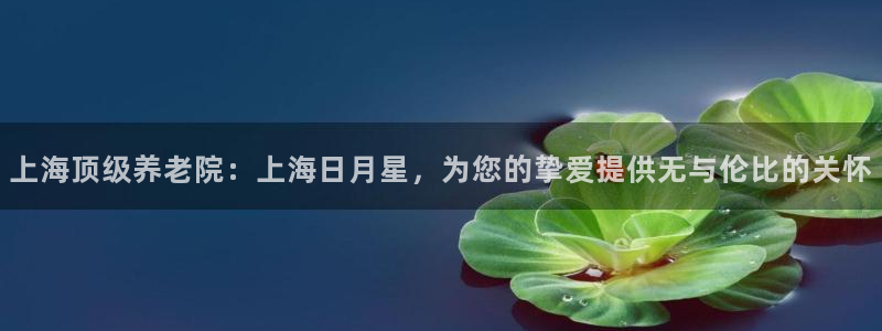 韦德事件