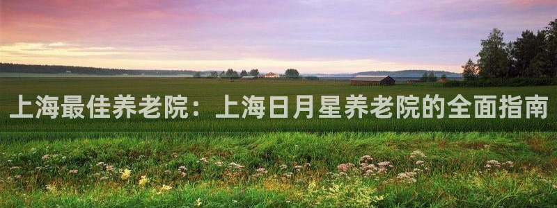 韦德1946手机