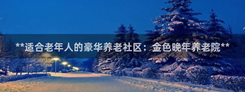 韦德是哪个