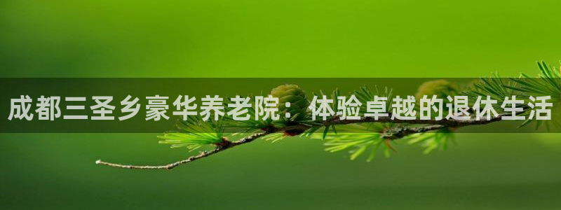 韦德是哪个