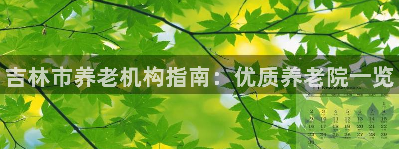 韦德1946国际