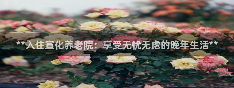 韦德网站官网