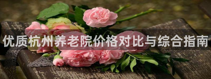 韦德游戏是什么