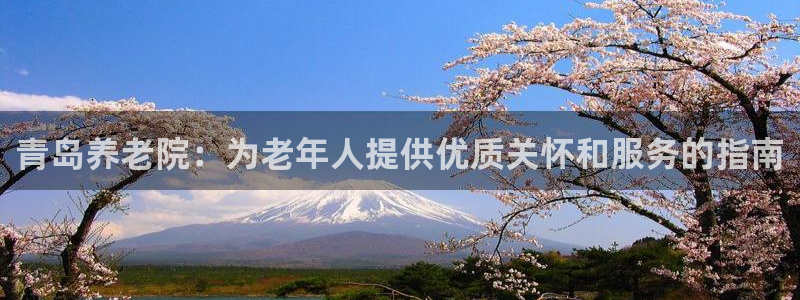 韦德网站是多少