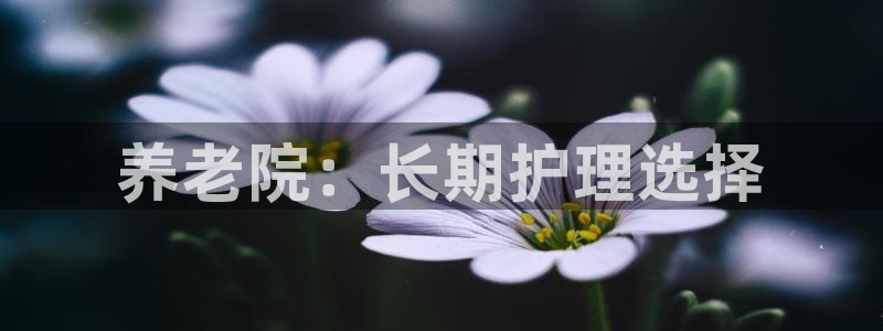 韦德1946