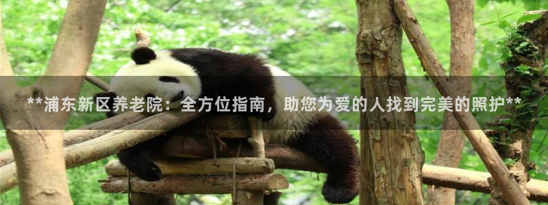 韦德官方下载