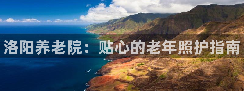 韦德 网址