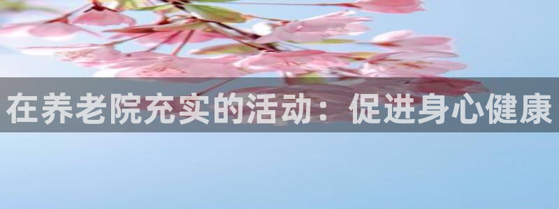 韦德网站是多少