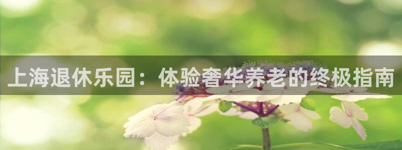 韦德是哪个