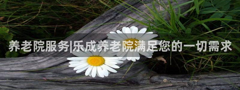韦德网站官网