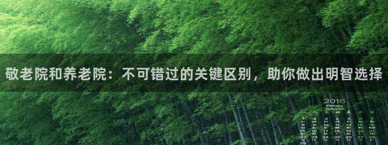 韦德是哪一届