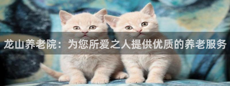 韦德新品