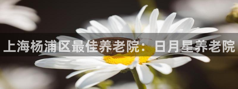 韦德8月22日开启中国行