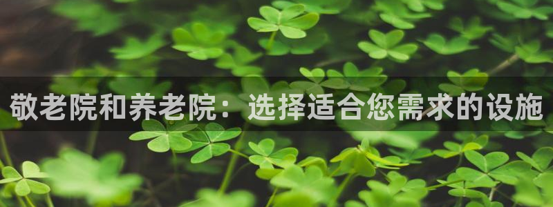 韦德1949