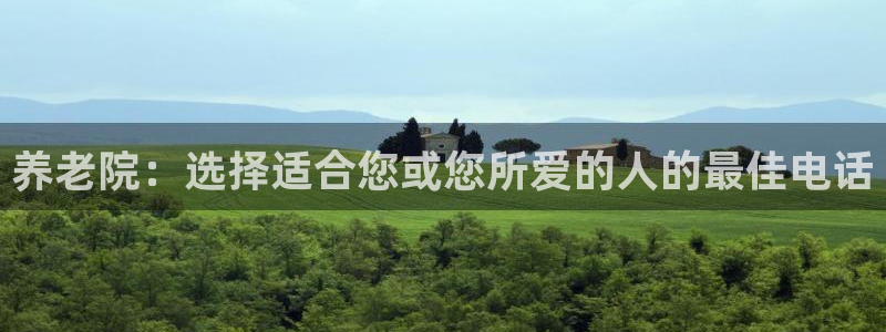 韦德1946游戏