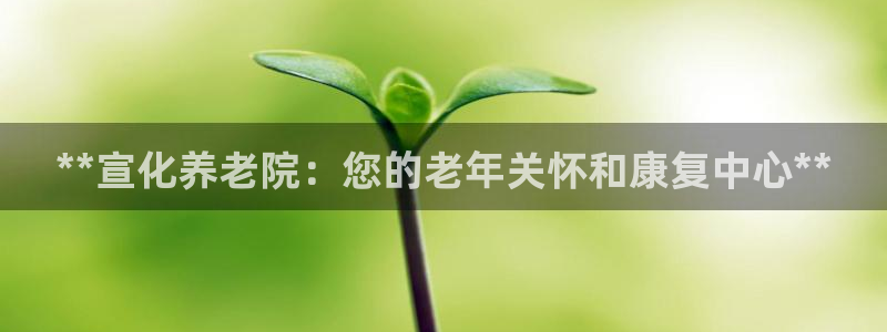 韦德官方网址大全